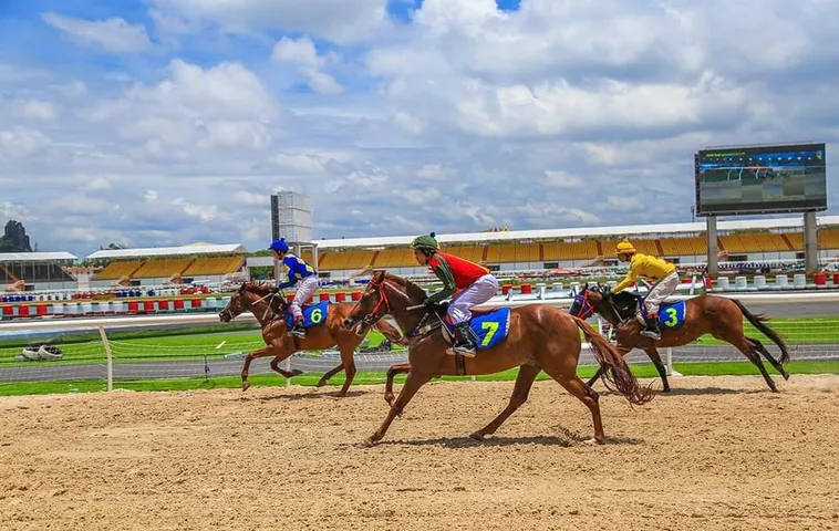 Khám Phá Thế Giới Cá Cược Đua Ngựa SV388 Chuyên Nghiệp