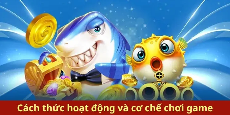 Hướng Dẫn Cách Chơi Bắn Cá Royal Fishing Tại SV388 Chi Tiết 1 Hướng Dẫn Cách Chơi Bắn Cá Royal Fishing Tại SV388 Chi Tiết
