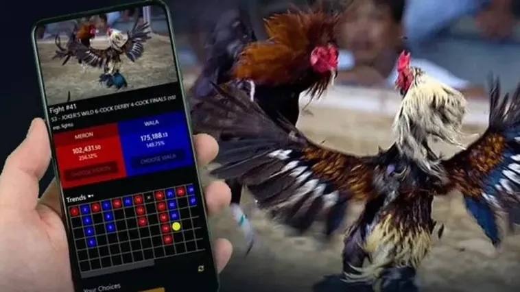 Khám Phá Thế Giới Cá Cược Đá Gà SV388 Đầy Kịch Tính